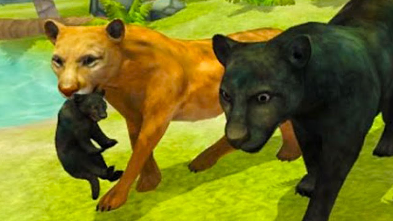 Hack Panther Family Simulator : Play Online – a lot of money