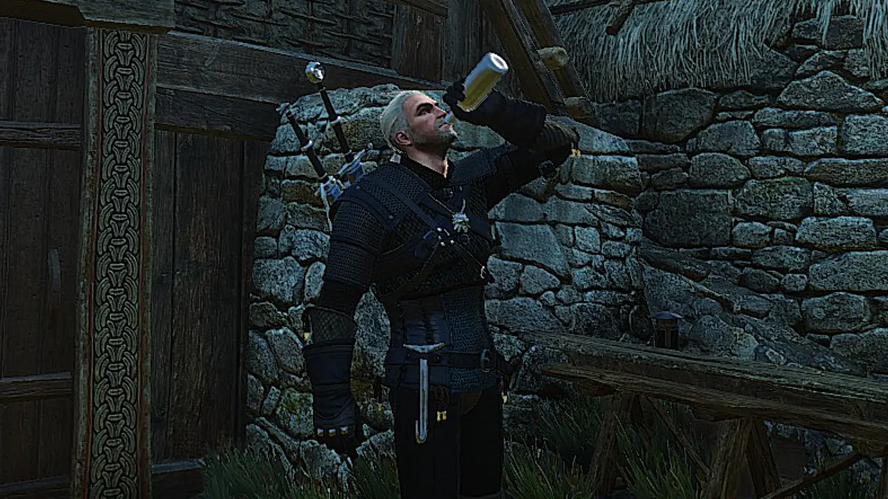 Mod The Witcher 3 Wild Hunt: Extra Animations