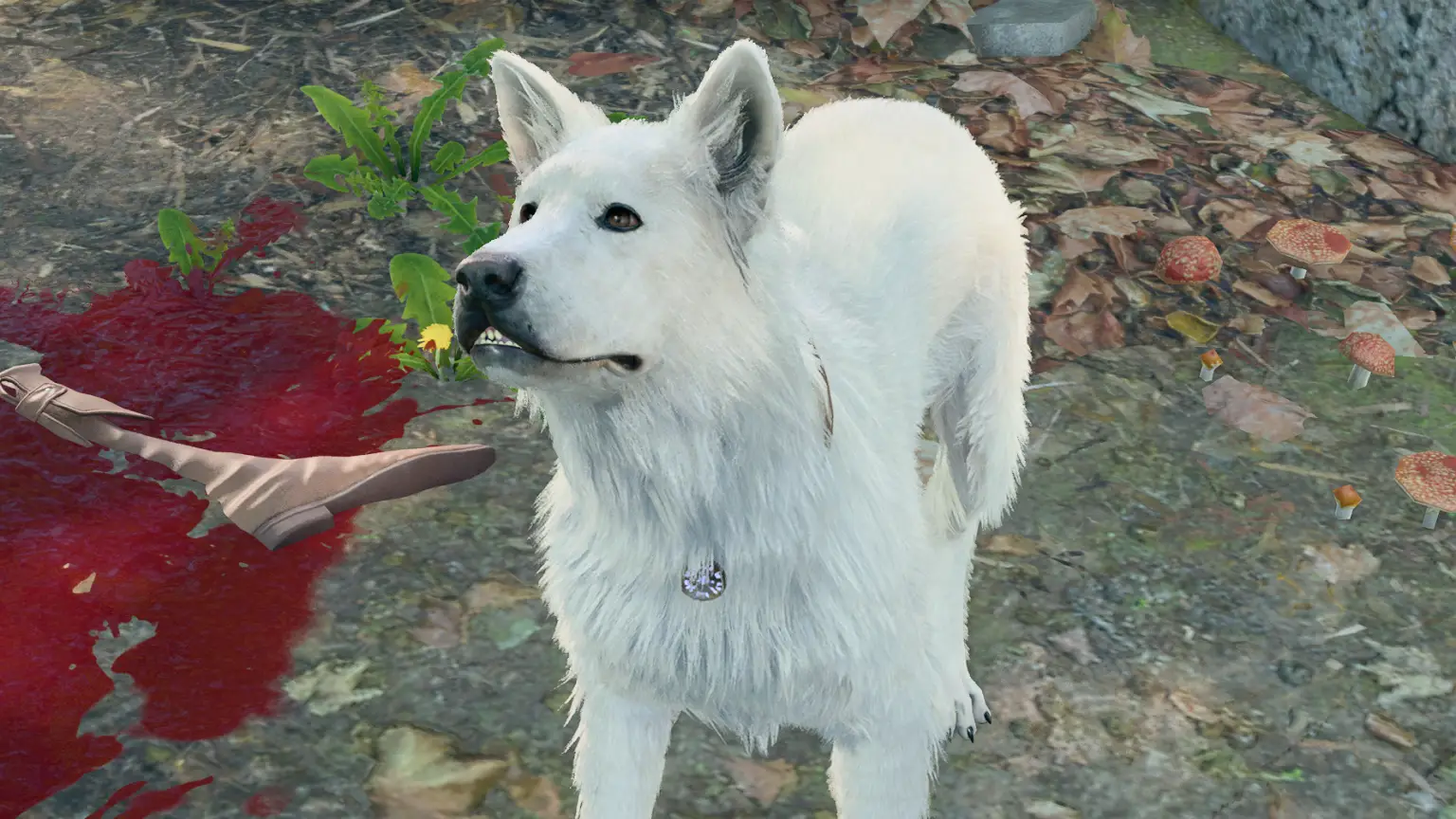 Rescuing Scratch: A Baldur’s Gate 3 Player Initiates a War to Reclaim Their Canine Companion